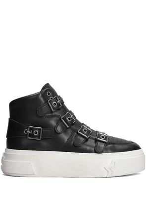 Ash 50mm Starmoon sneakers - Black