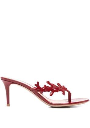 Gianvito Rossi Ocean thong sandals - Red