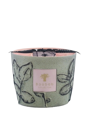 Baobab Collection Folia Maquis decorative scented candle - Green