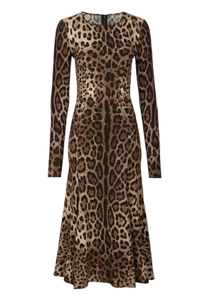 Dolce & Gabbana leopard-print midi dress - Brown