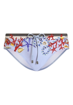 Dolce & Gabbana shell-print swimming trunks - Blue