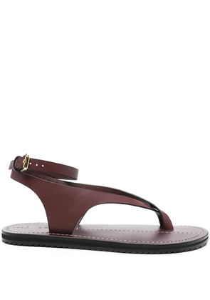 A.EMERY The Millar sandals - Red