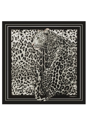Dolce & Gabbana leopard-print scarf - Black