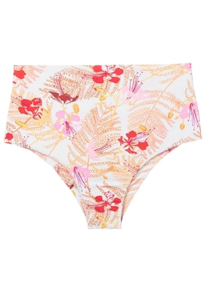 Clube Bossa floral high-waisted bikini bottoms - Pink