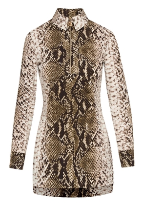 Oscar de la Renta Snake cotton poplin shirt dress - Green