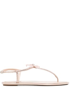 René Caovilla Peach Flower sandals - Neutrals