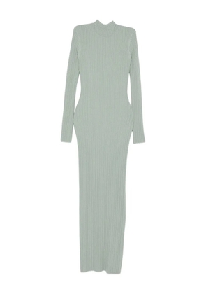 Nanushka ribbed turtleneck maxi dress - Green