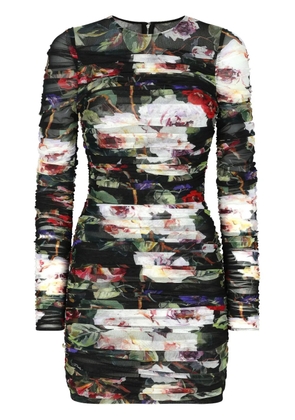 Dolce & Gabbana floral-print short dress - Neutrals