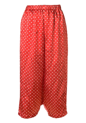 Comme Des Garçons Pre-Owned 2005 polka-dot Bermuda trousers - Red