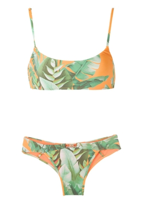 Amir Slama printed bikini set - Green