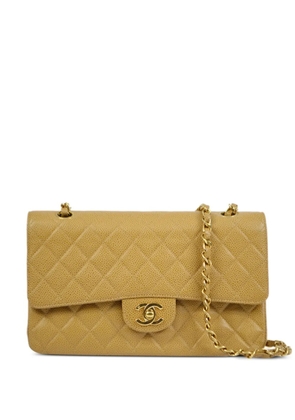 CHANEL Pre-Owned 2002 medium Double Flap shoulder bag - Neutrals