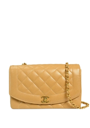 CHANEL Pre-Owned 1992 medium Diana shoulder bag - Neutrals