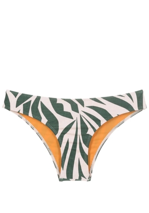 Lygia & Nanny Waikiki graphic-print bikini bottom - Green