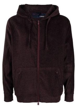 Lardini zip-up drawstring hoodie - Brown