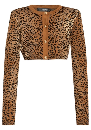 Versace leopard-print cropped cardigan - Brown