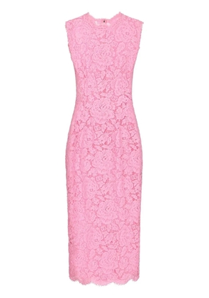 Dolce & Gabbana floral-lace midi dress - Pink