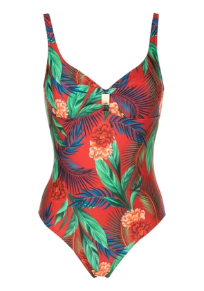 Lygia & Nanny Roberta botanical-print swimsuit - Red