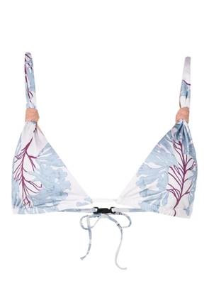 Clube Bossa Wolfe triangle bikini top - Blue