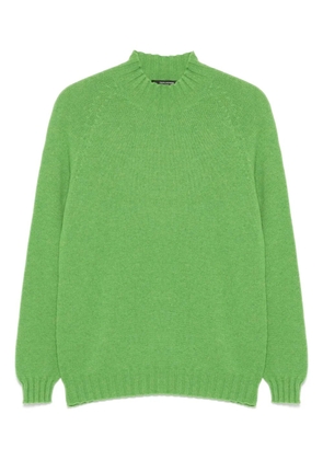 Tagliatore cashmere jumper - Green