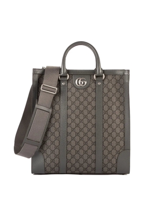 Gucci Pre-Owned 2000 Ophidia GG Supreme handbag - Grey