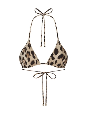 Dolce & Gabbana leopard-print triangle-cup bikini top - Neutrals
