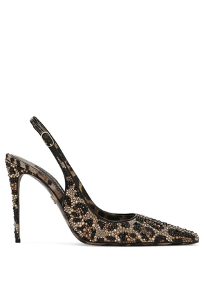 Dolce & Gabbana 105mm leopard-print leather pumps - Brown