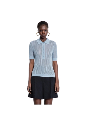 Fitted Polo Shirt in Wool Knit