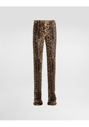 Dolce & Gabbana Leopard-print Calf Trousers - Woman Pants And Shorts Multi-colored 42