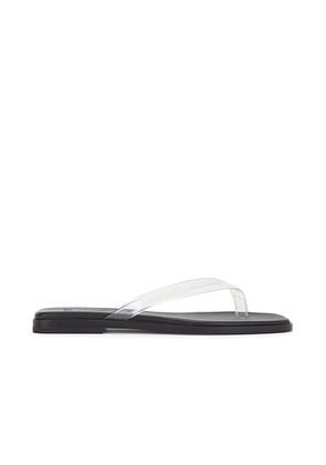 Ziah Transperent Thong Sandal in Transparent Black - Black. Size 35 (also in ).