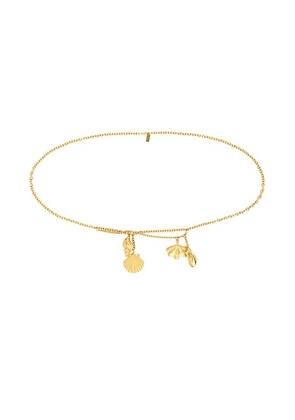 Chloe Shells Belt in Vintage Gold - Metallic Gold. Size all.