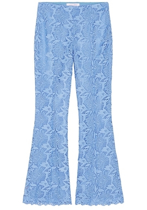 Carolina Herrera Kenny Bootcut Pant in Cornflower - Blue. Size 10 (also in ).