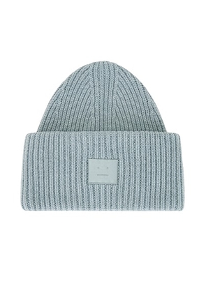 Acne Studios Pansy Face Beanie in Dusty Blue - Baby Blue. Size all.