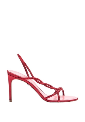 Rene Caovilla Round Toe Braid Red Sandal