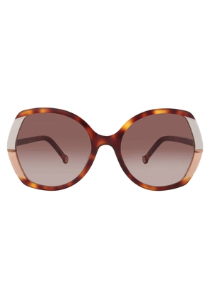 Carolina Herrera Brown Gradient Butterfly Ladies Sunglasses CH 0051/S 0C1H/HA 58