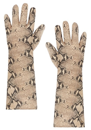 HANDSOME STOCKHOLM For Fwrd Essential Long Gloves in Serpent Terra - Brown. Size L (also in M, S, XS).