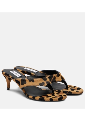Alaia Infradito 55 calf hair thong sandals