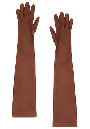 The Row Simon Gloves in Oak - Brown. Size L (also in ).