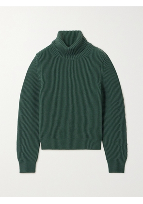 FORTELA - Leona Ribbed Wool Turtleneck Sweater - Green - x small,small,medium,large