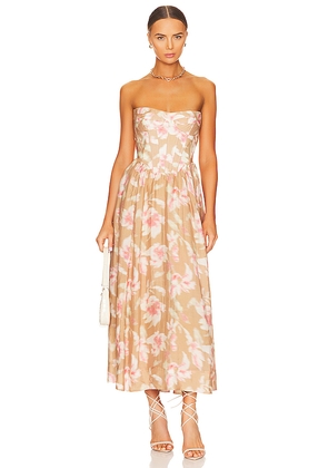 Bardot Lola Corset Midi Dress in Tan. Size 8. Also in 10.