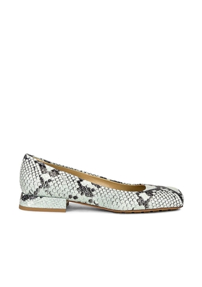 Bottega Veneta Bicolor Calfskin Ballet Flats - EU39/US9