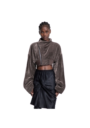 Hollywood Cropped Flight