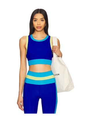 BEACH RIOT Gwen Top in Royal. Size L. Also in XS.