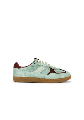 ALOHAS Tb.490 Rife Sneaker in Mint. Size 37. Also in 38, 39.