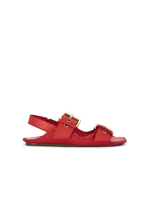 Free People Blossom Buckle Sandal in Red. Size 7.5. Also in 8.5.