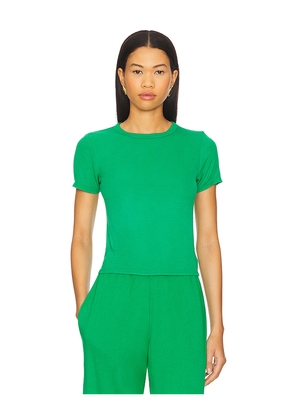 Michael Lauren Rhea Short Sleeve Fitted Top in Green. Size L. Also in S, XS.