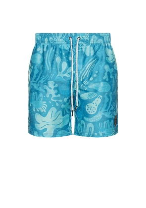 Maui and Sons Runner Classic Swim Trunks in Blue. Size M. Also in XL/1X.