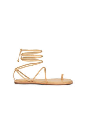 Kaanas Lavi Strappy Toe Ring Sandal in Neutral. Size 7. Also in 8, 9.