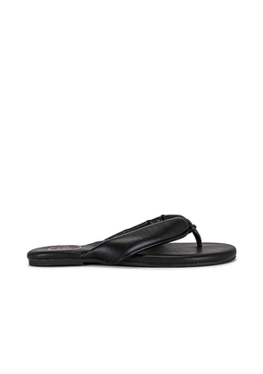 Solei Sea Gisel Sandal in Black. Size 7. Also in 8, 9.