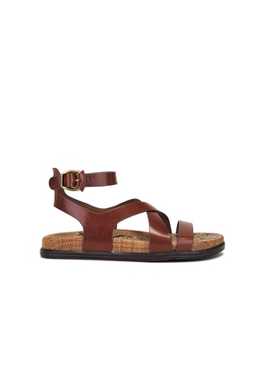 Sam Edelman Delia Sandal in Brown. Size 6.5. Also in 7, 7.5.