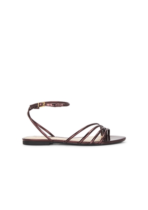 Schutz Inez Flat Sandal in Brown. Size 7. Also in 7.5, 8, 8.5, 9.5.